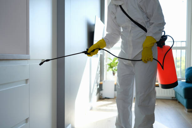 Bluffton, SC Mold Removal Company