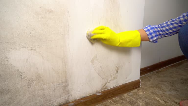 Mold Removal for HVAC Installations in Bluffton, SC