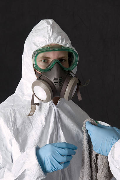 Asbestos and Lead Testing During Mold Inspection in Bluffton, SC